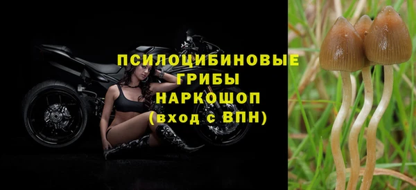 прущая мука Новокубанск