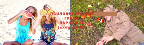 соль курить ск Новозыбков