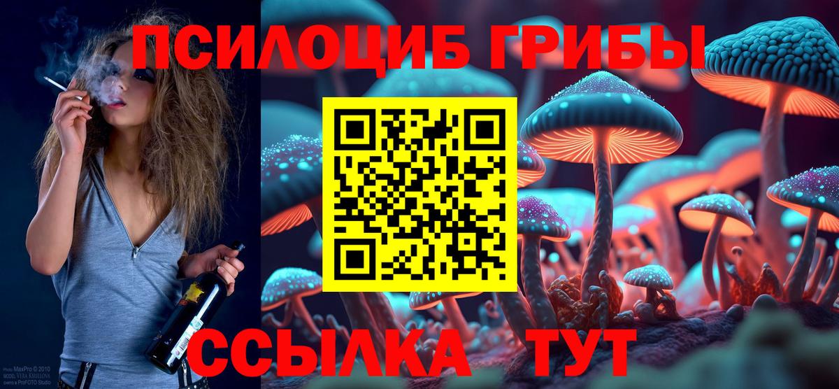 Псилоцибиновые грибы MAGIC MUSHROOMS Волжский