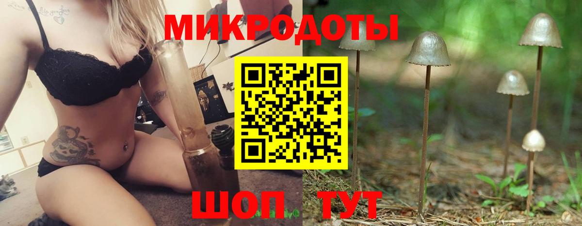 Псилоцибиновые грибы мухоморы Волжский