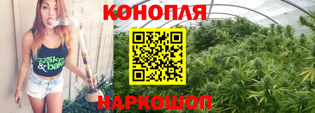 Бошки Шишки гибрид Волжский